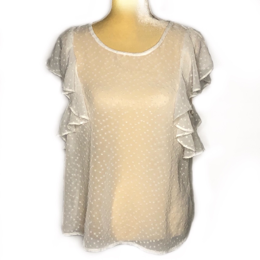 Alythea Sheer Short Ruffle Sleeve Boho Top White L